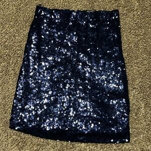 Fully Sequinned Skirt Revamped Premium Collection